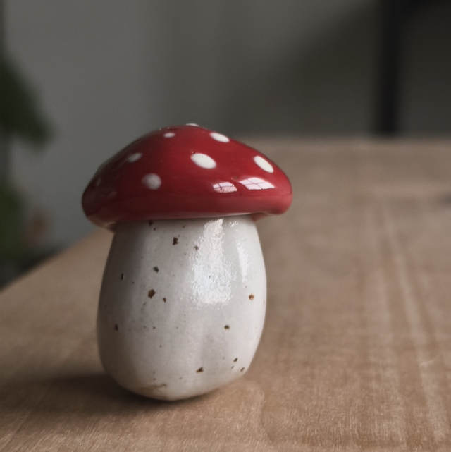 Keramiikka kärpässieni