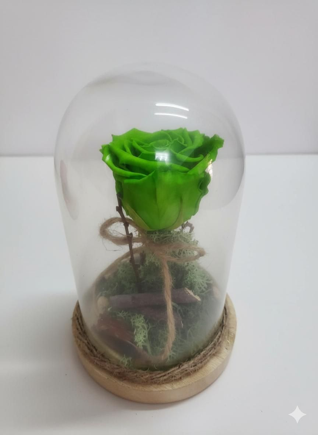 Rosa verde stabilizzata