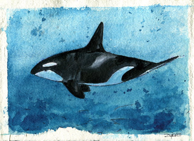 Original / Orca No.1 - Spendenbild