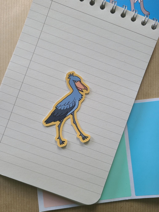 Shoebill bird