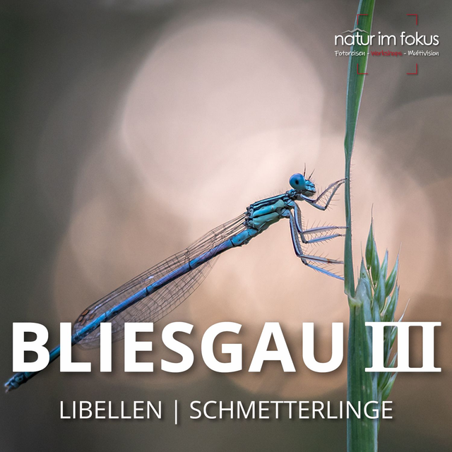 3-Workshop Bliesgau III – Libellen & Schmetterlinge – 13.-14.06.2026