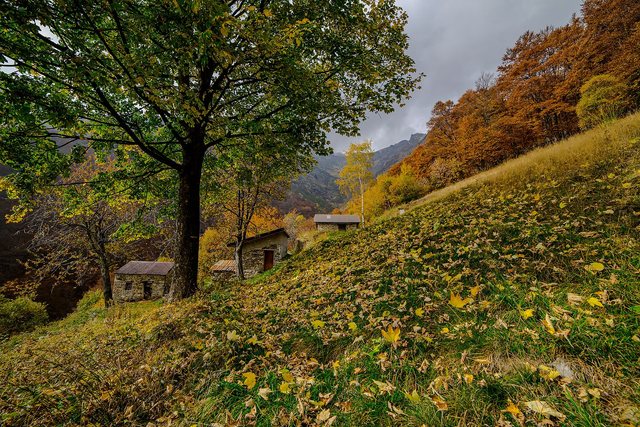 Alpe Ravinella di sotto