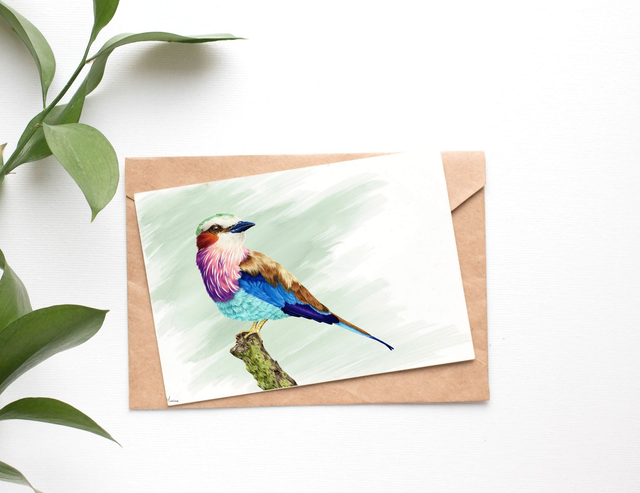 Carte postale d'un oiseau du Kenya