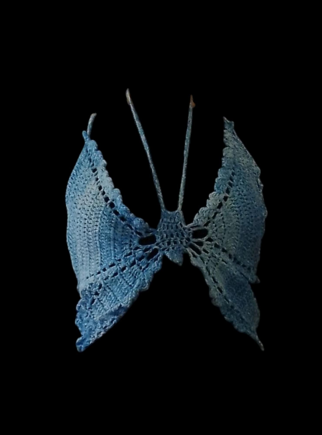 Haut papillon