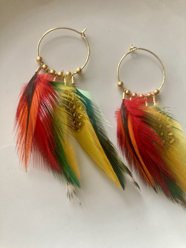 Créoles Amazone solaire