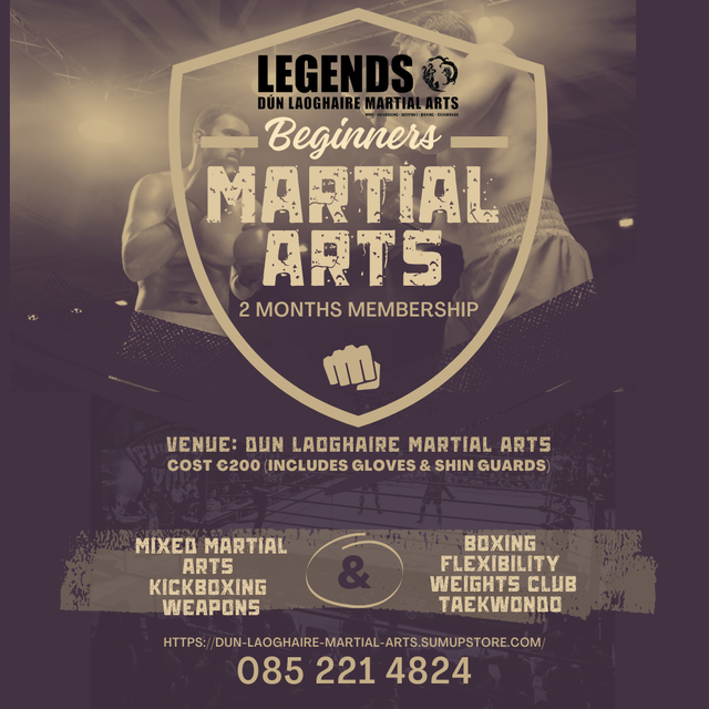 Beginners Martial Arts Course (2months)