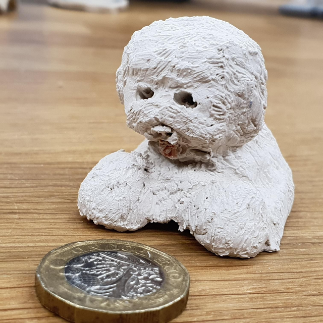 Bichon Frise 2 (laying down)