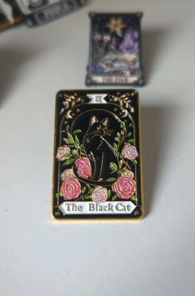 Pin's the black cat