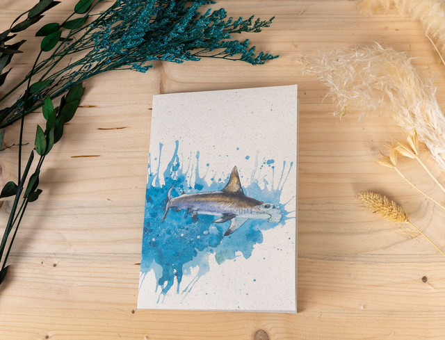 Notizbuch – Hammerhai - Faszinierender Räuber der Tiefe