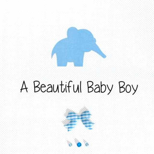 Baby Elephant - Boy