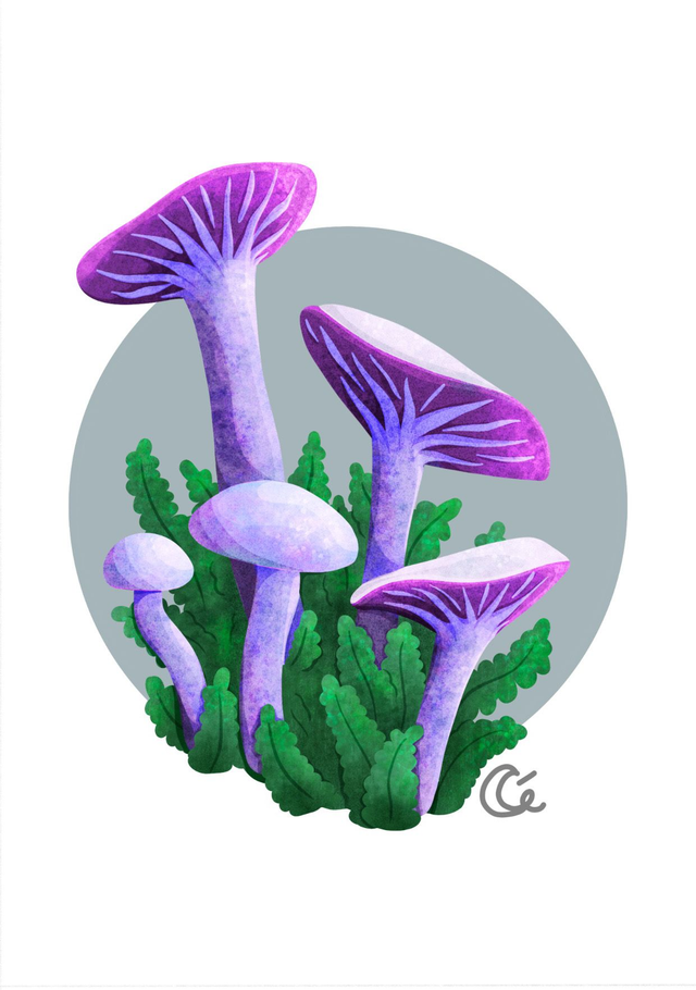 Print A6 Laccaire Améthyste