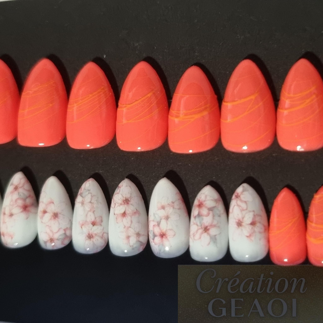 Corail Spider foil little Amande xs