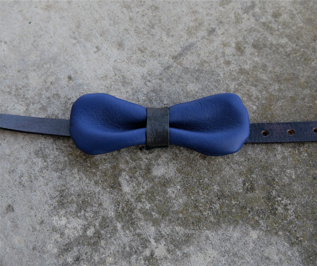 Noeud papillon bleu et noir