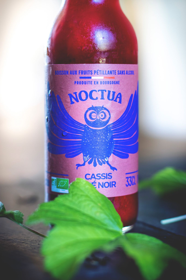 Noctua Cassis Thé Noir 12x33cl