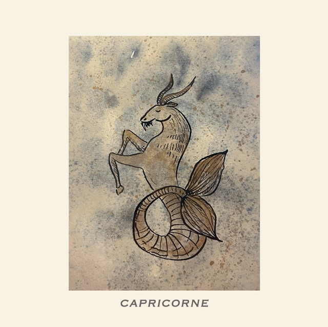 Astrologie - Capricorne