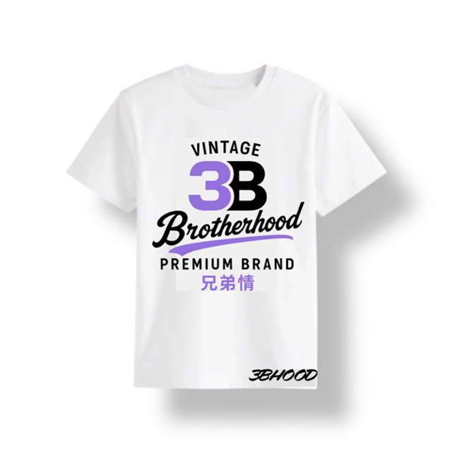 3B Vintage T Shirt (White Purple)