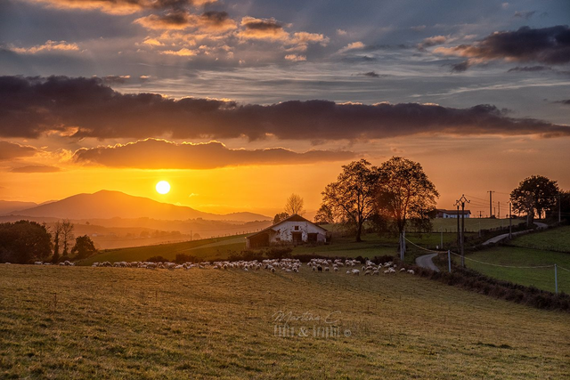 L'instant euskal 40X60