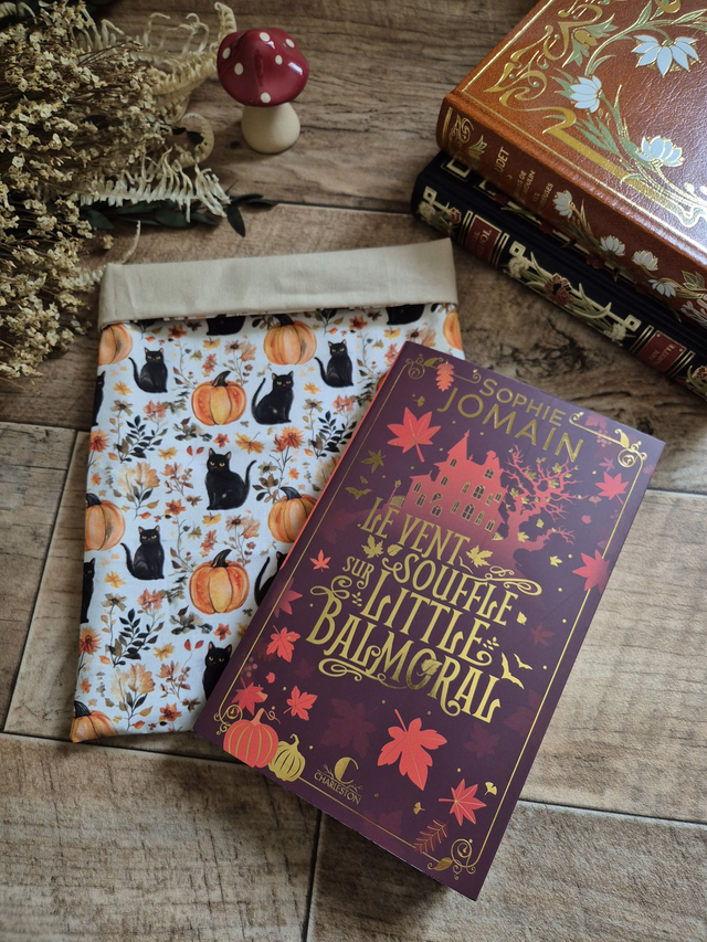 Pochette à livre Pumpkin & Black cat