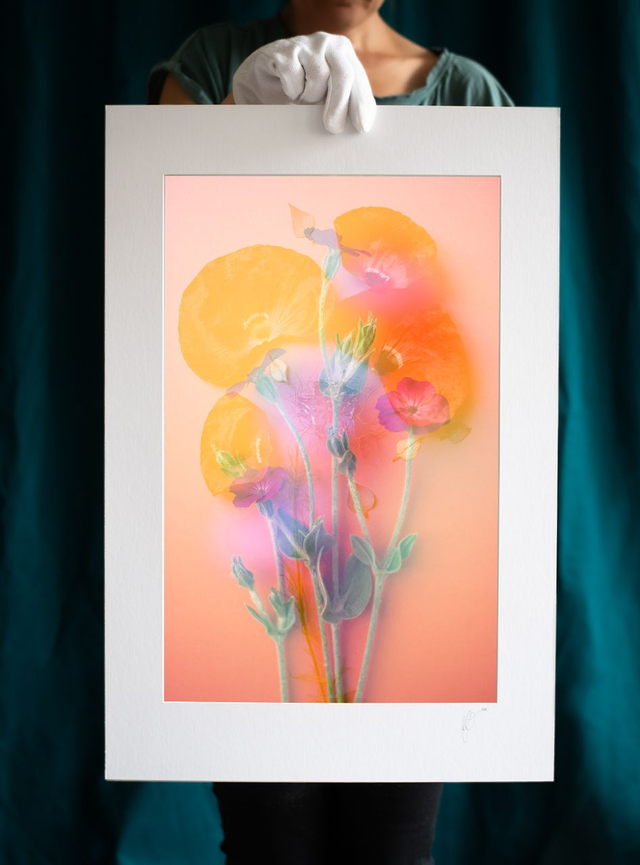 Collection du printemps * 15