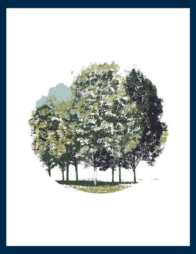 sérigraphie arbre 50X65 cm