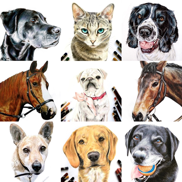 Coloured Pencil Pet Portraits (please check waiting times)