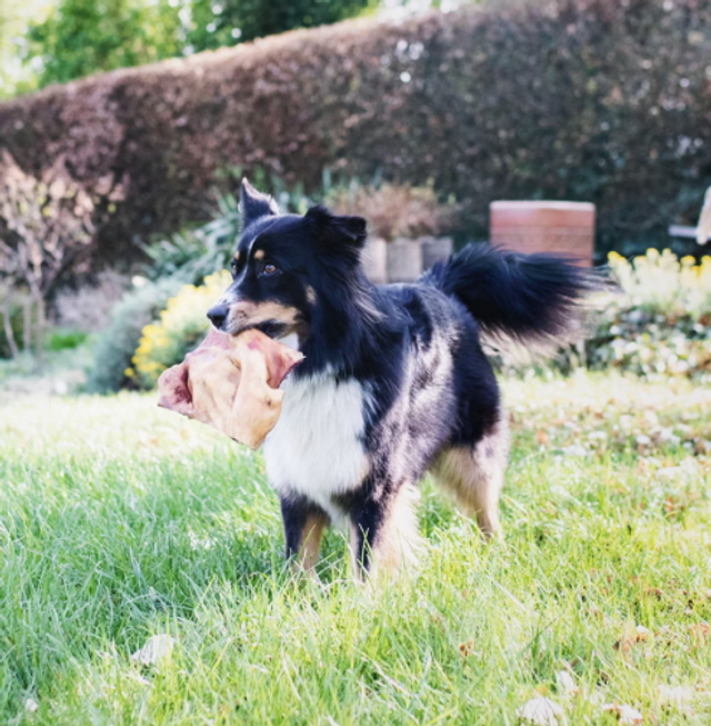 Rinderkopfhaut Platten - große Stücke, 1000 g