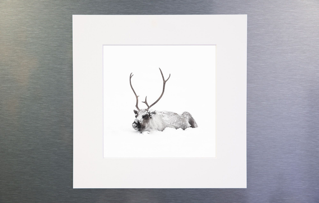 Photo &quot;La découverte&quot; avec passe-partout