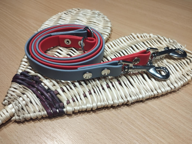 Allonge de laisse (pour plusieurs chiens) 