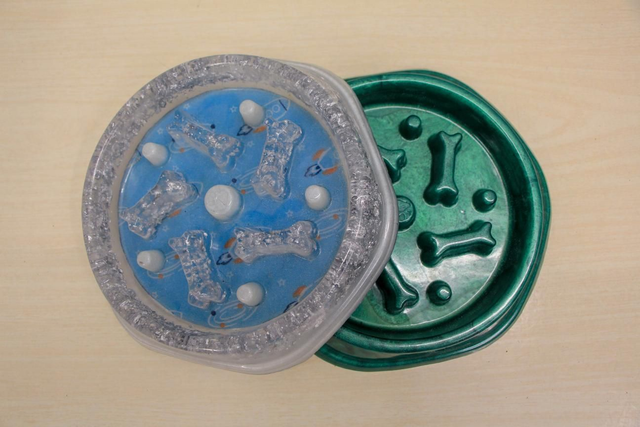 Gamelle Découverte Chien 