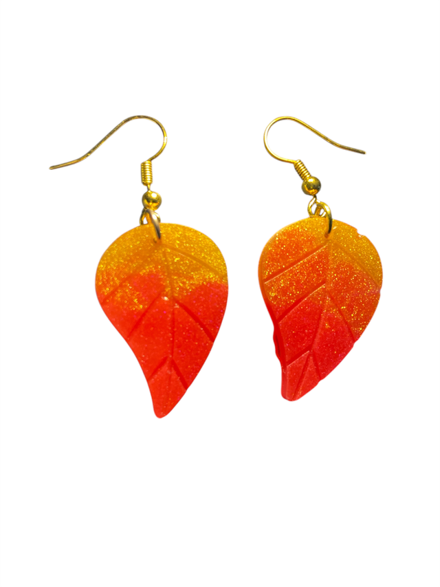 Boucle d&#039;oreilles 