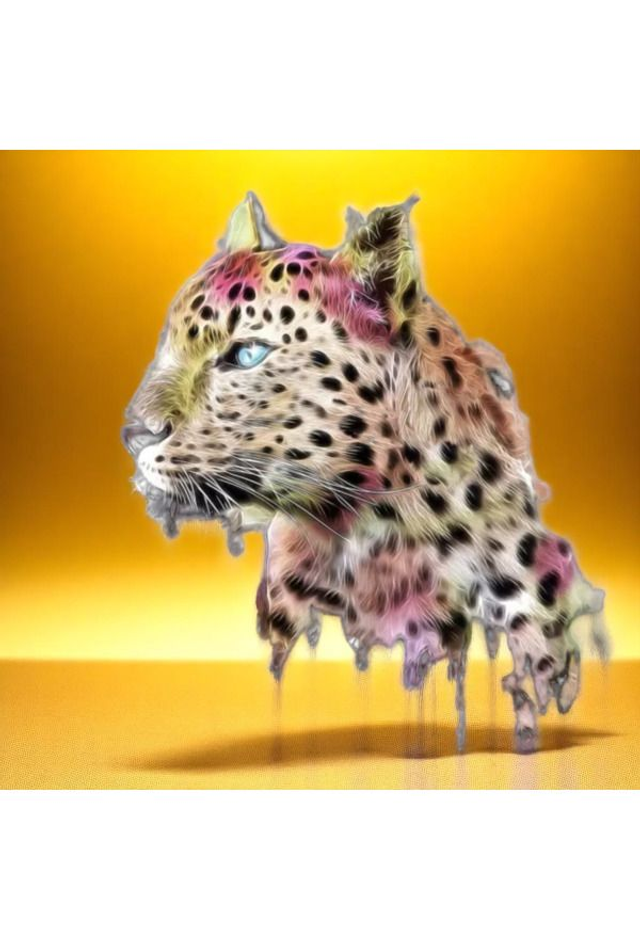 Gepard