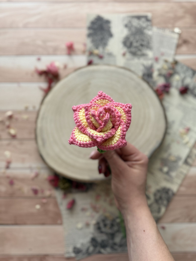 Rose peace