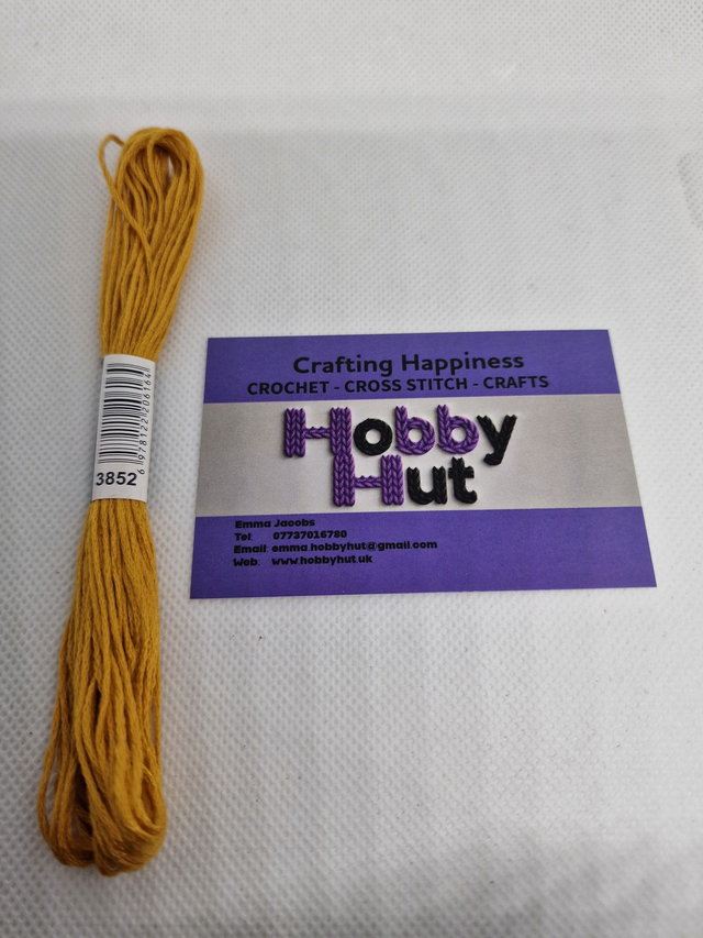 Embroidery Thread - 3852