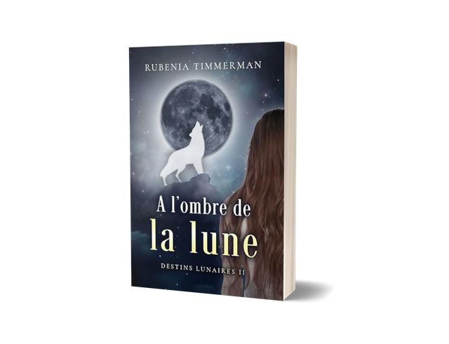 À l'ombre de la lune - Saga Destins lunaires tome 2 - livre broché