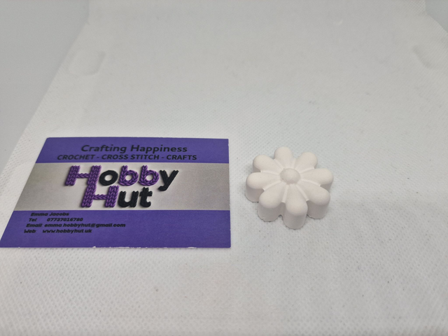 Paint-Your-Own Flower Daisy (2)