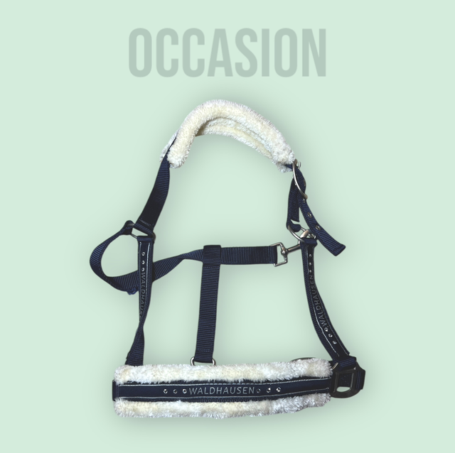 Waldhausen licol mouton strass full