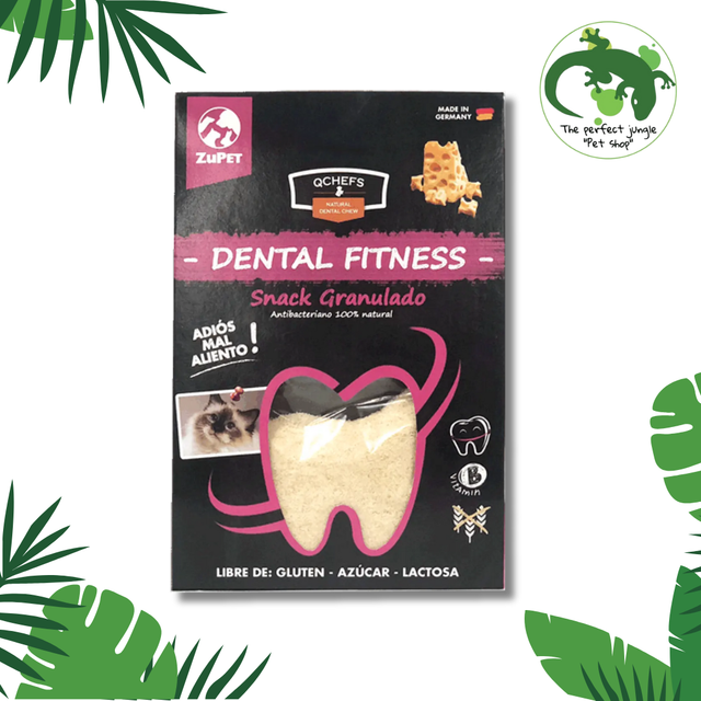 Dental Fitness Gato