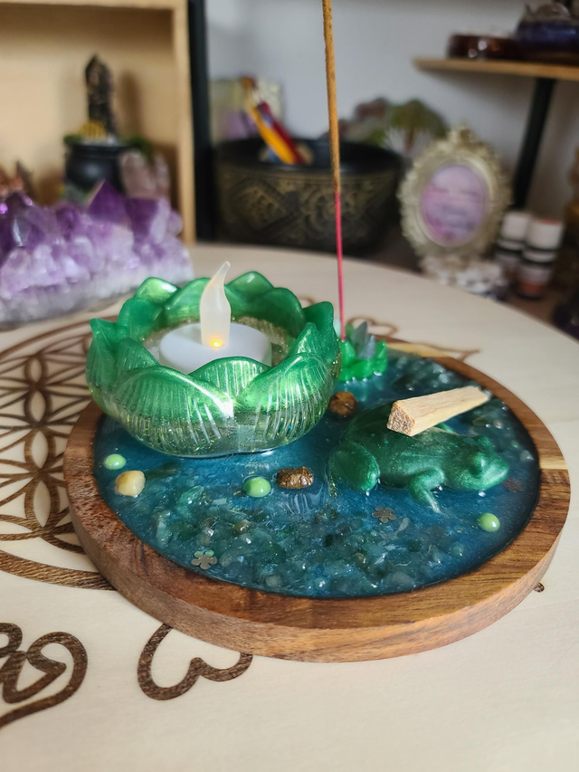 Plateau de fumigation 🐸 Métamorphose de la grenouille rond