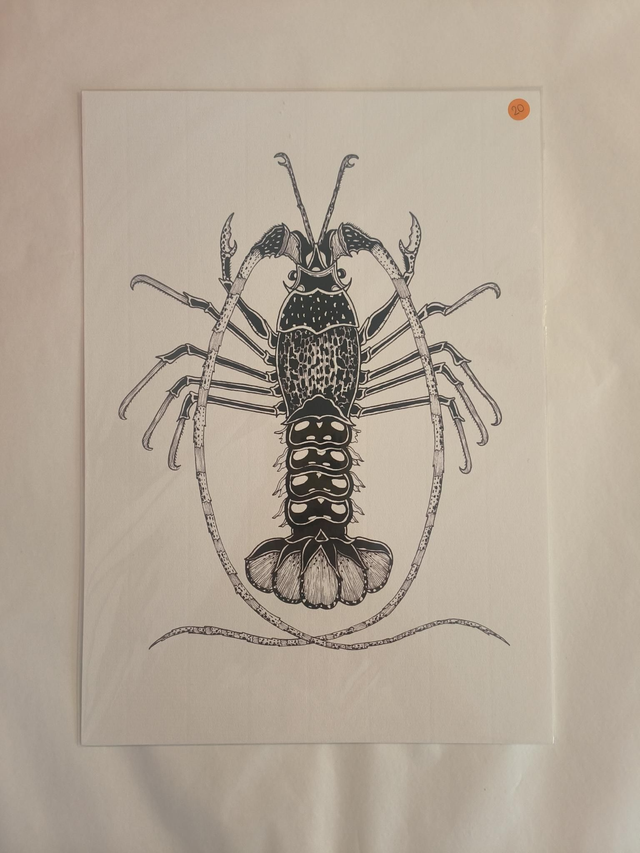 A4 homard noir