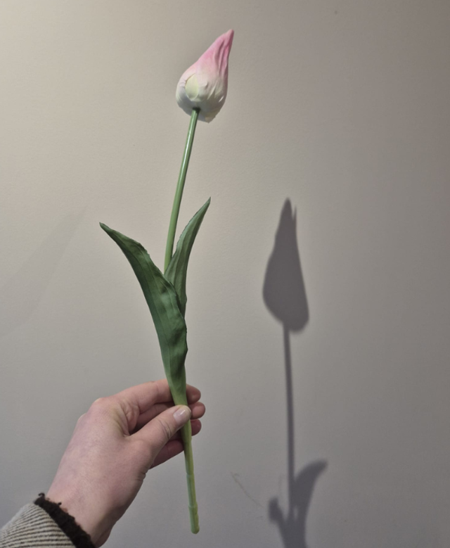 Tulp single roze