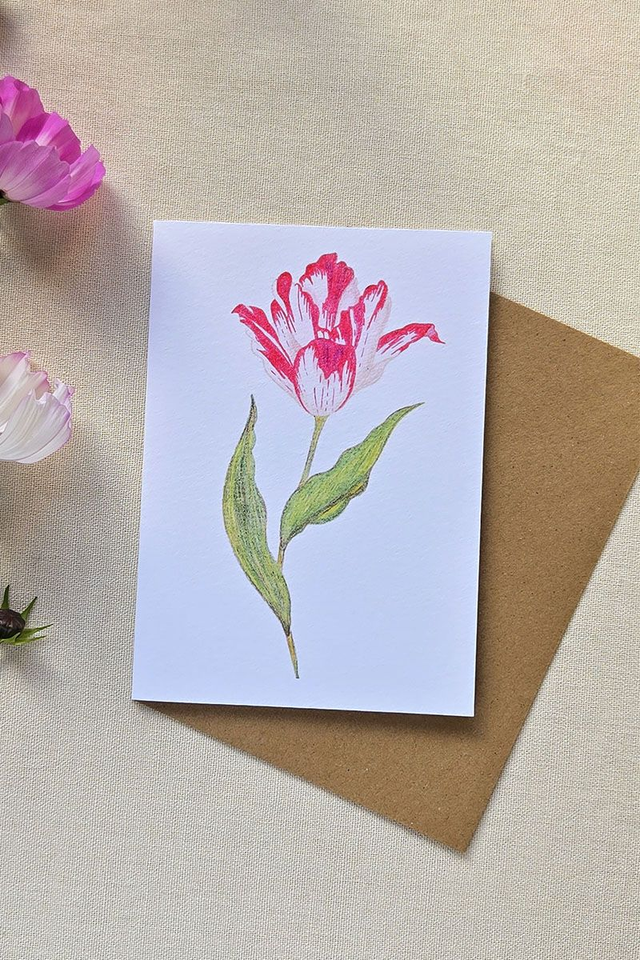 Carte au crayon de couleur - Tulipe