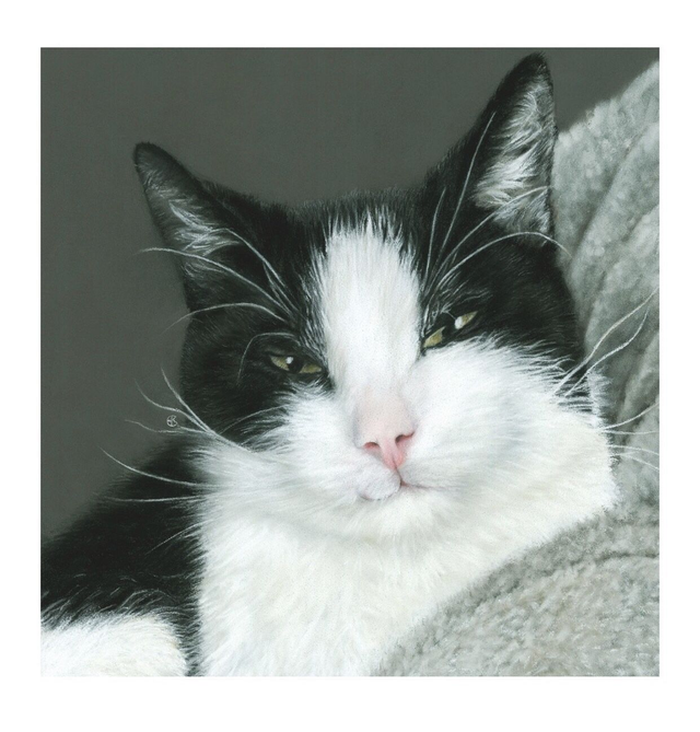 Print (medium) 'FINN' (Konijnenparadijs)  