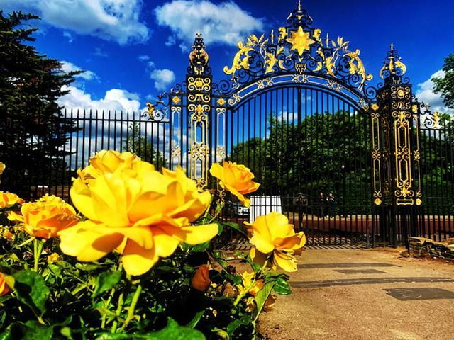 Ридженс-парк. Его окрестности.