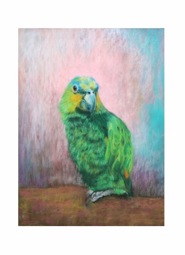 Print (large)  'WIMPIE' (Flappus)