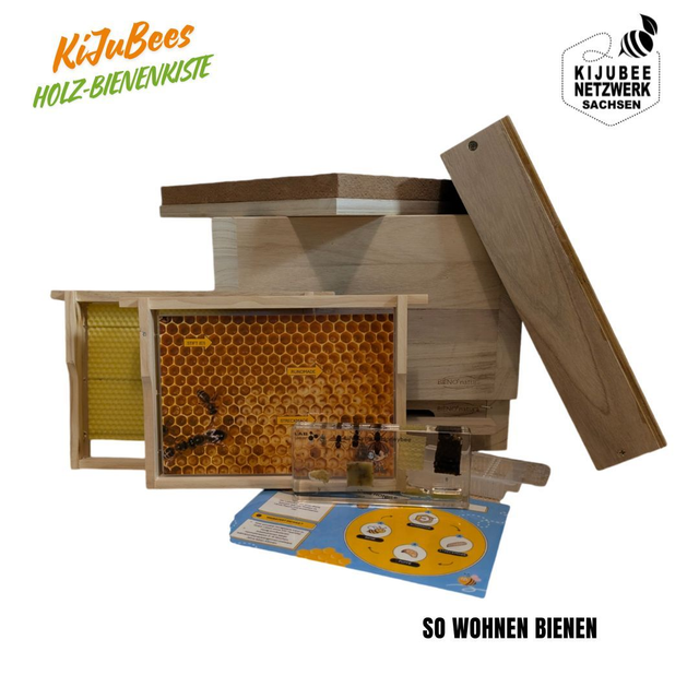 KiJuBee Bienenhaus Holz