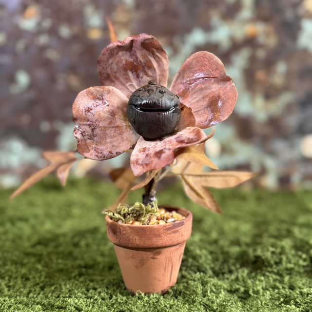 19.🌺 Specimen: The Grinfang