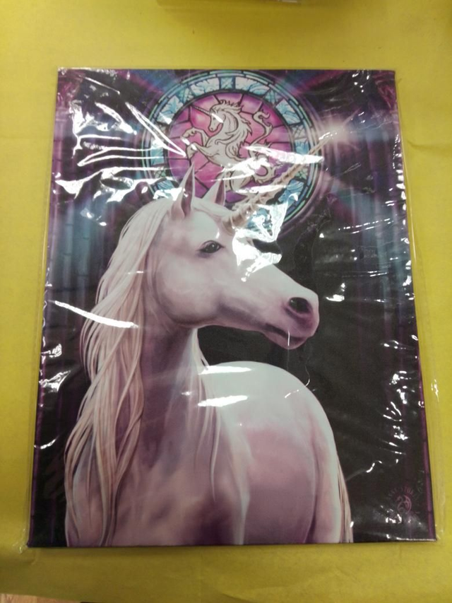 Unicorn Enlightenment Hanging Canvas Print 
