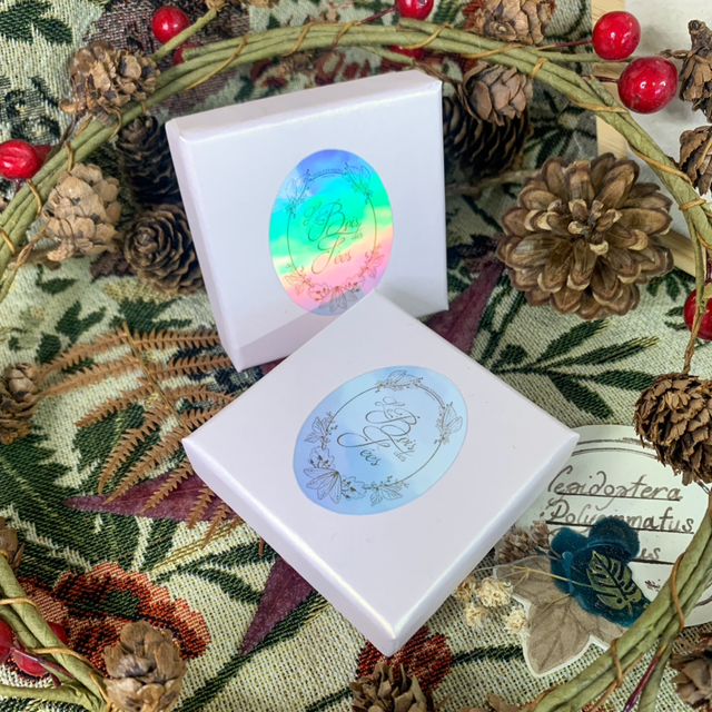 Écrin PM - Rose poudré irisé