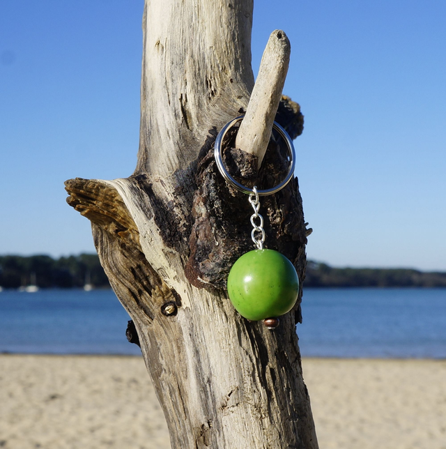 Graine verte