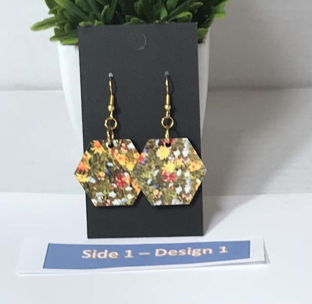 Two in One Mixed Colour Dangling Earrings- 2SD02